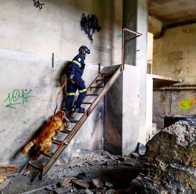 unidad canina bomberos valencia