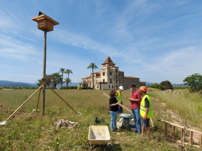 cajas nido torre dels pares gandia