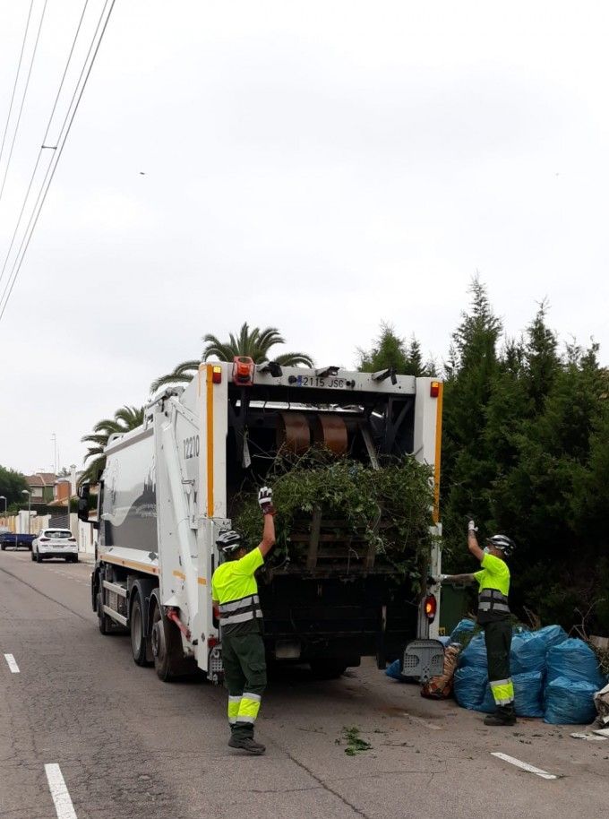 Recogida de poda Paterna