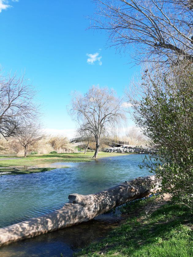 foto río César tronco