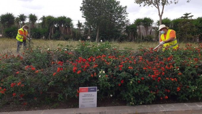 Programa fomento empleo Labora Qdp