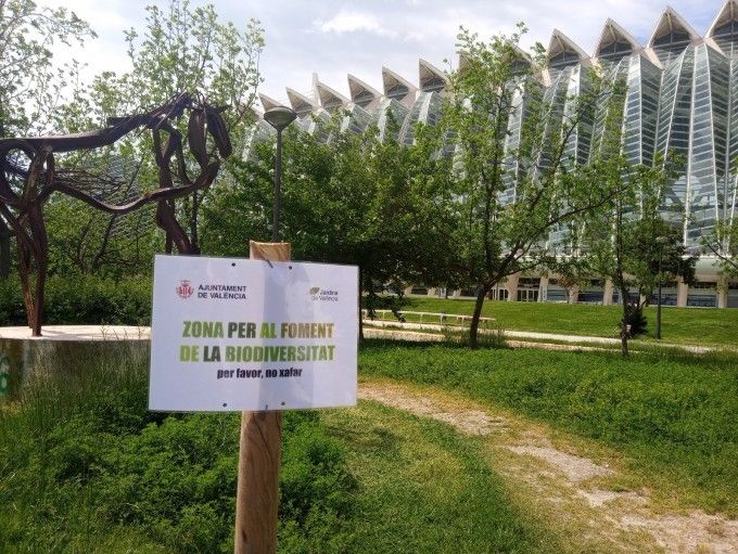 OAM Pla estratègic