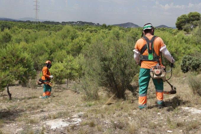 Operarios de la Brigada de Gespa realizando labores de mantenimiento en La Vallesa