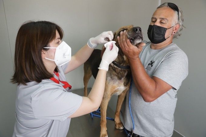 Refugio Municipal de Animales de Paterna