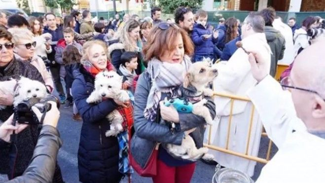 Ediciones anteriores de la bendición de animales de Sant Antoni