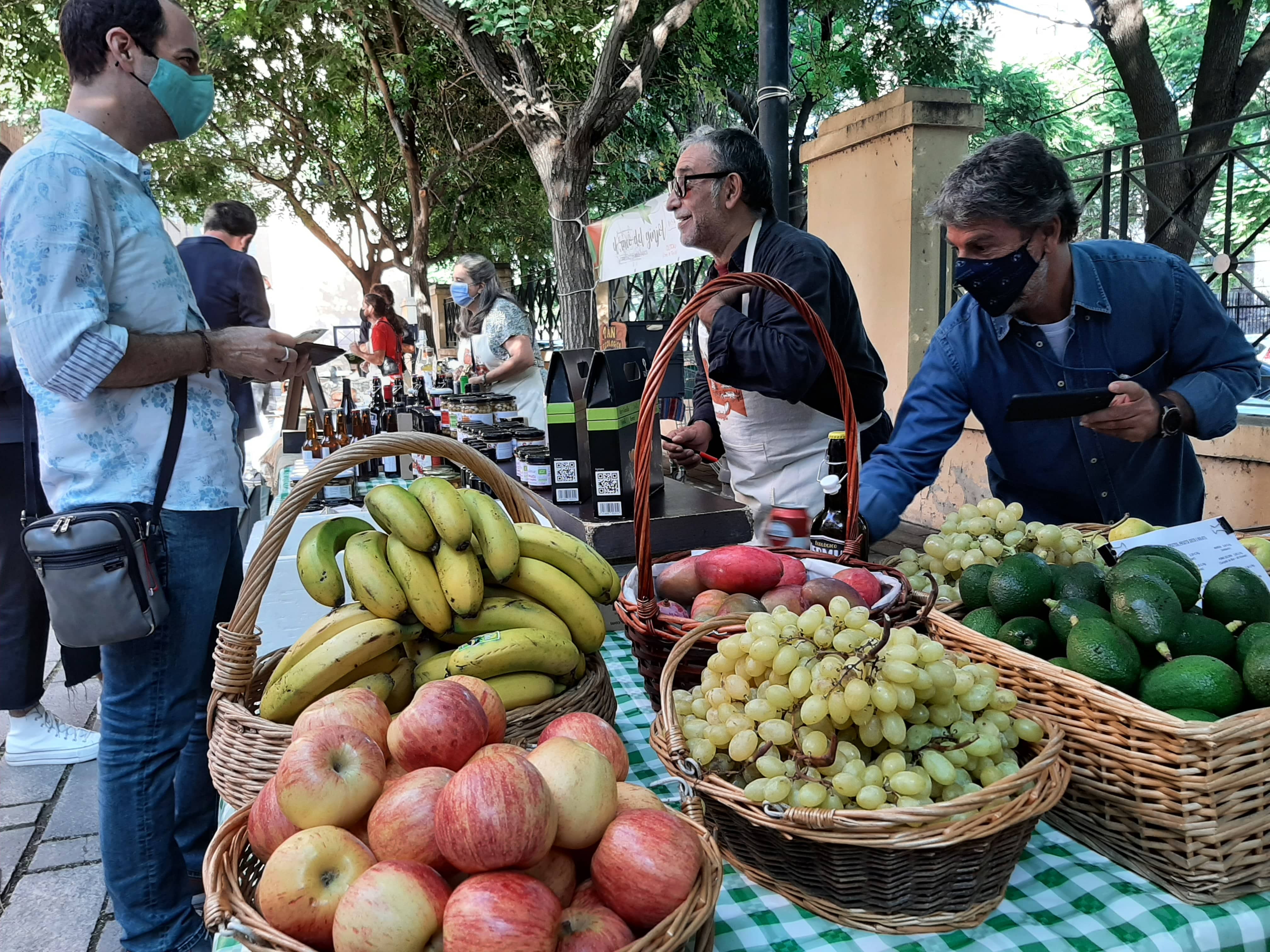 Mercat Agroecològi  en el campus de Blasco Ibáñez