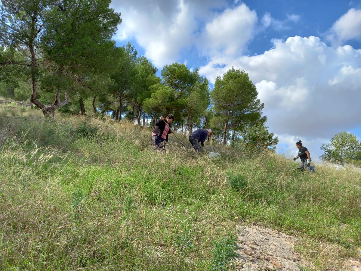 Operaris retiren a Llíria prop de 300 quilos de residus vegetals Operaris retiren a Llíria prop de 300 quilos de residus vegetals