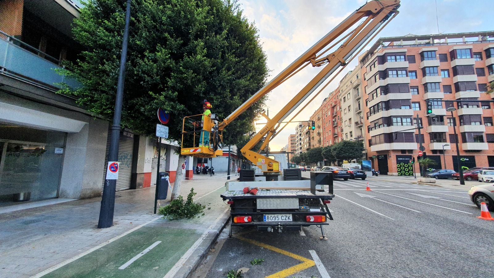 Trabajos de poda en la avenida del Puerto