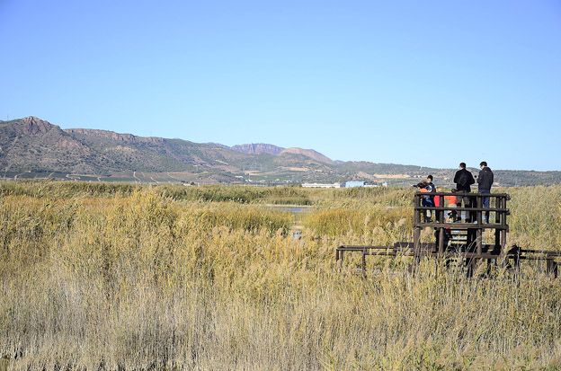 Marjal dels Moros de Puçol Marjal dels Moros de Puçol