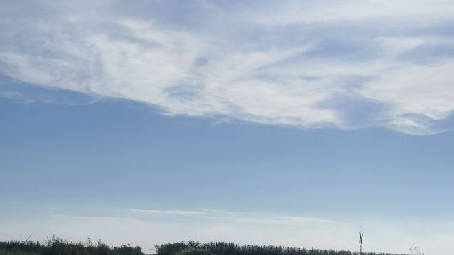Passeig en barca per l'Albufera Passeig en barca per l'Albufera