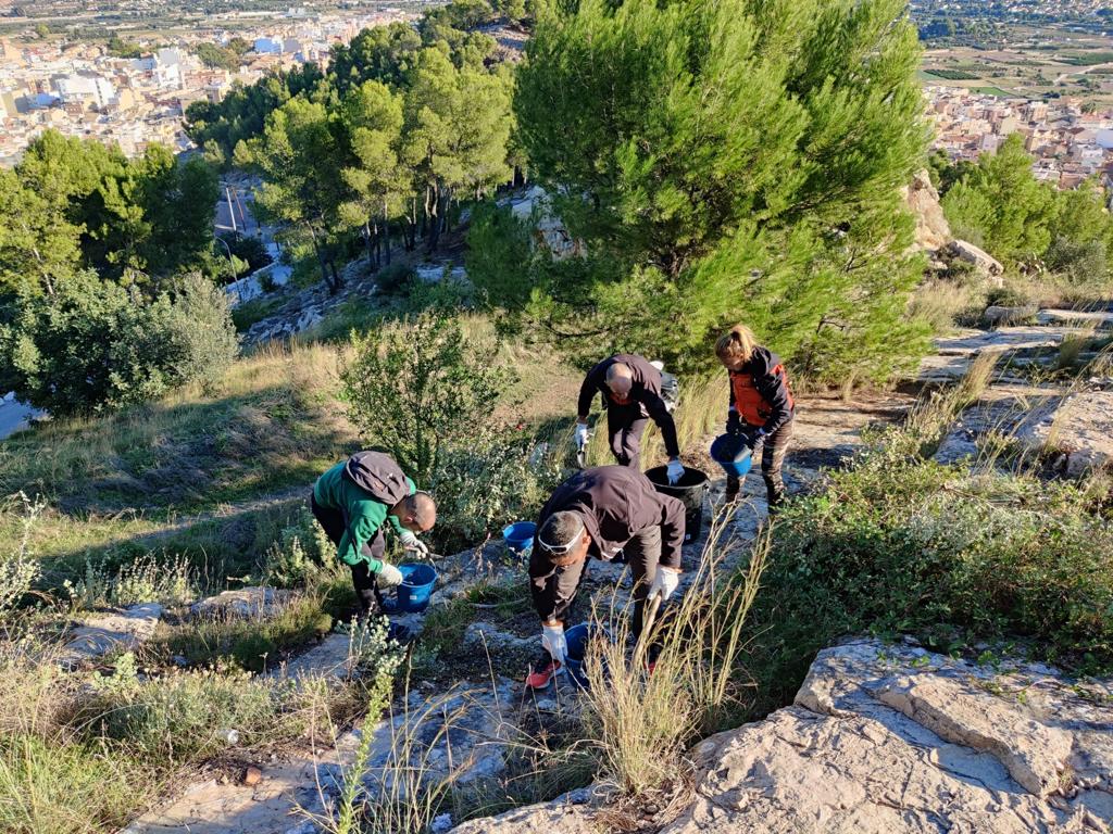 Voluntaris controlant l'expansió del cactus invasor Voluntaris controlant l'expansió del cactus invasor