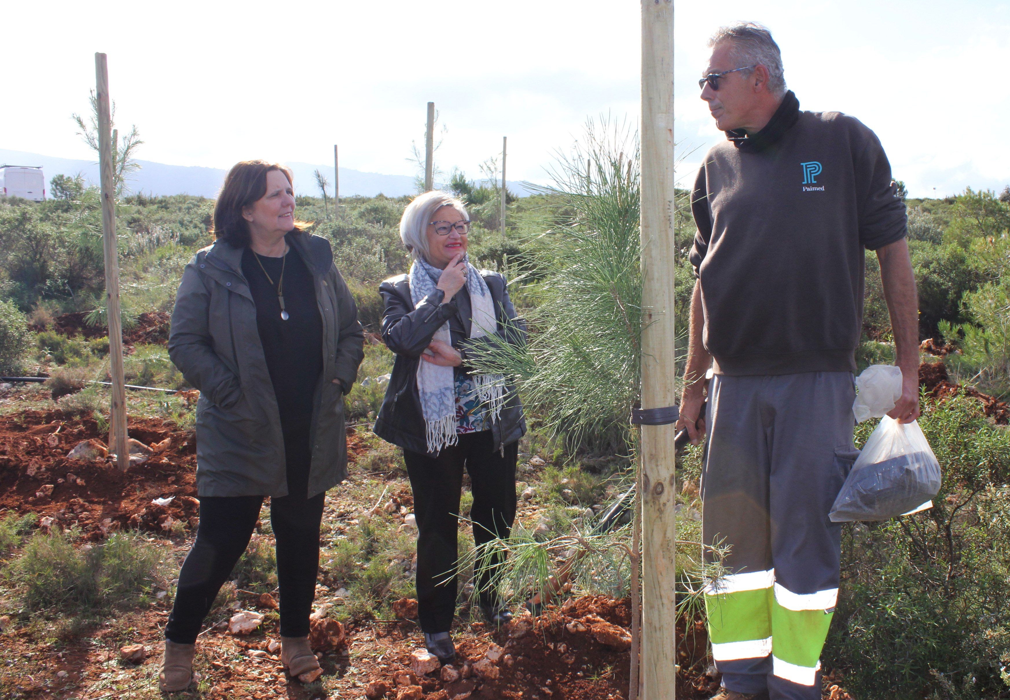 Las concejalas de Sostenibilidad y Participación Ciudadana visitan la zona donde están plantándose especies como pino carrasco, pino piñonero, roble valenciano o carrascas