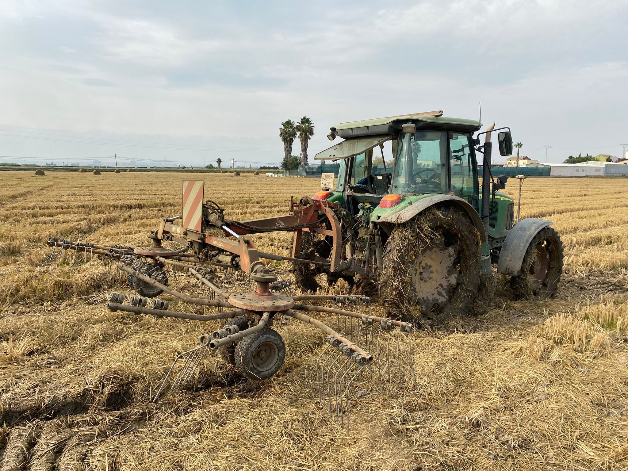 Recollida palla d'arròs