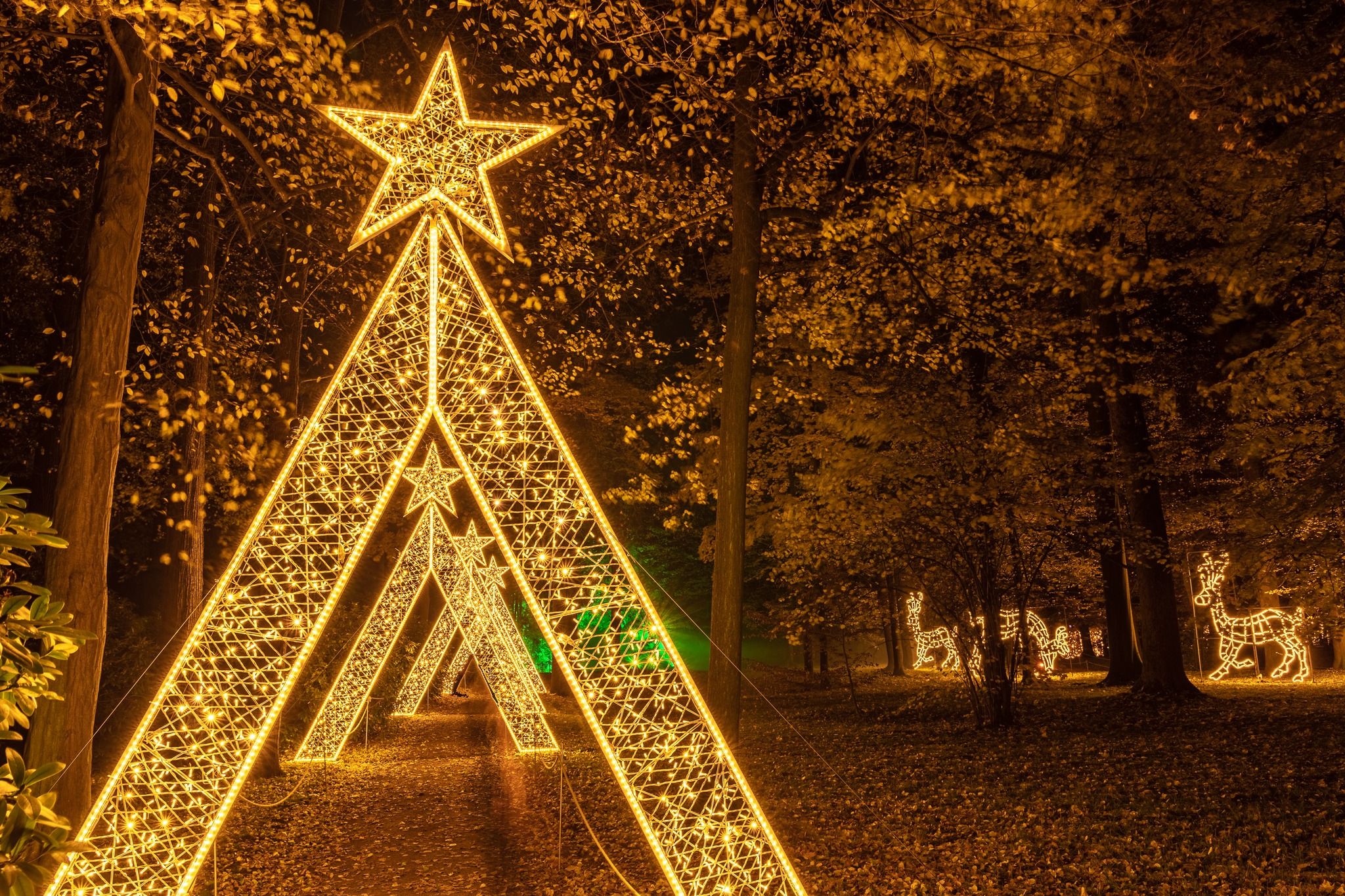 Les Llums de Vivers 2021 en València