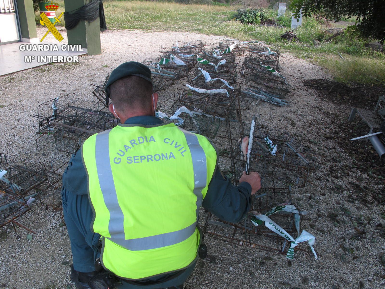 Agente del seprona incauta jaulas trampa