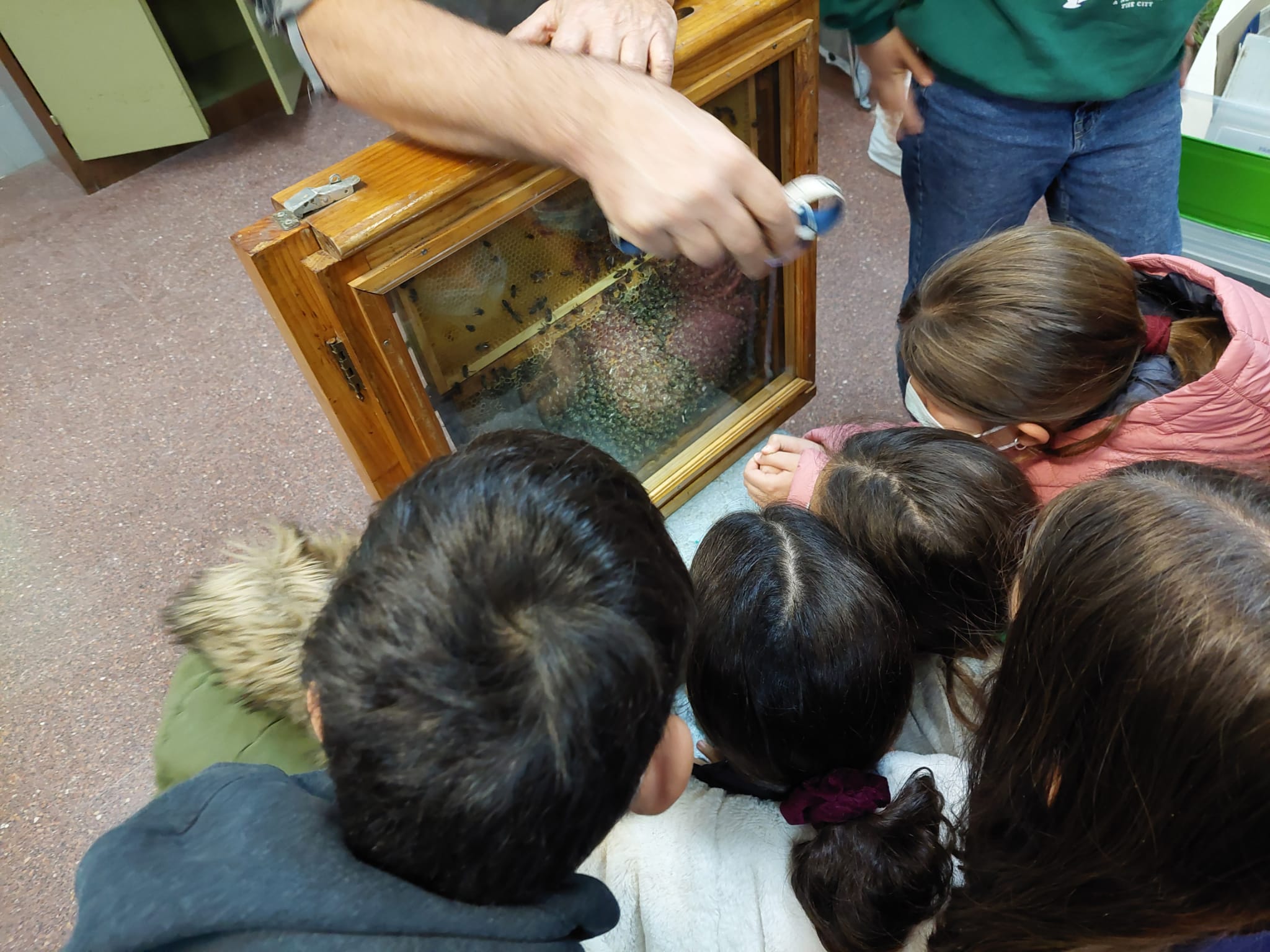 Iniciativa "Les abelles van a escola”