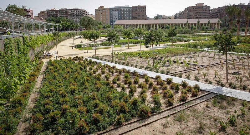 Parc Central de València