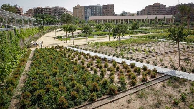 Parc Central de València