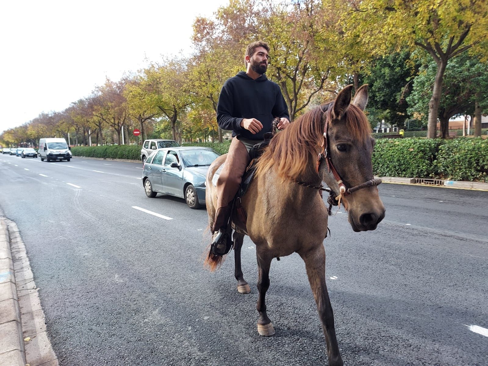 El ganadero montado a caballo, Rubén Llata