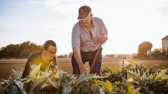 Un agricultor trabaja en la huerta