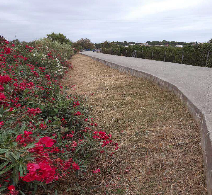 Camí rural desbrossat a València
