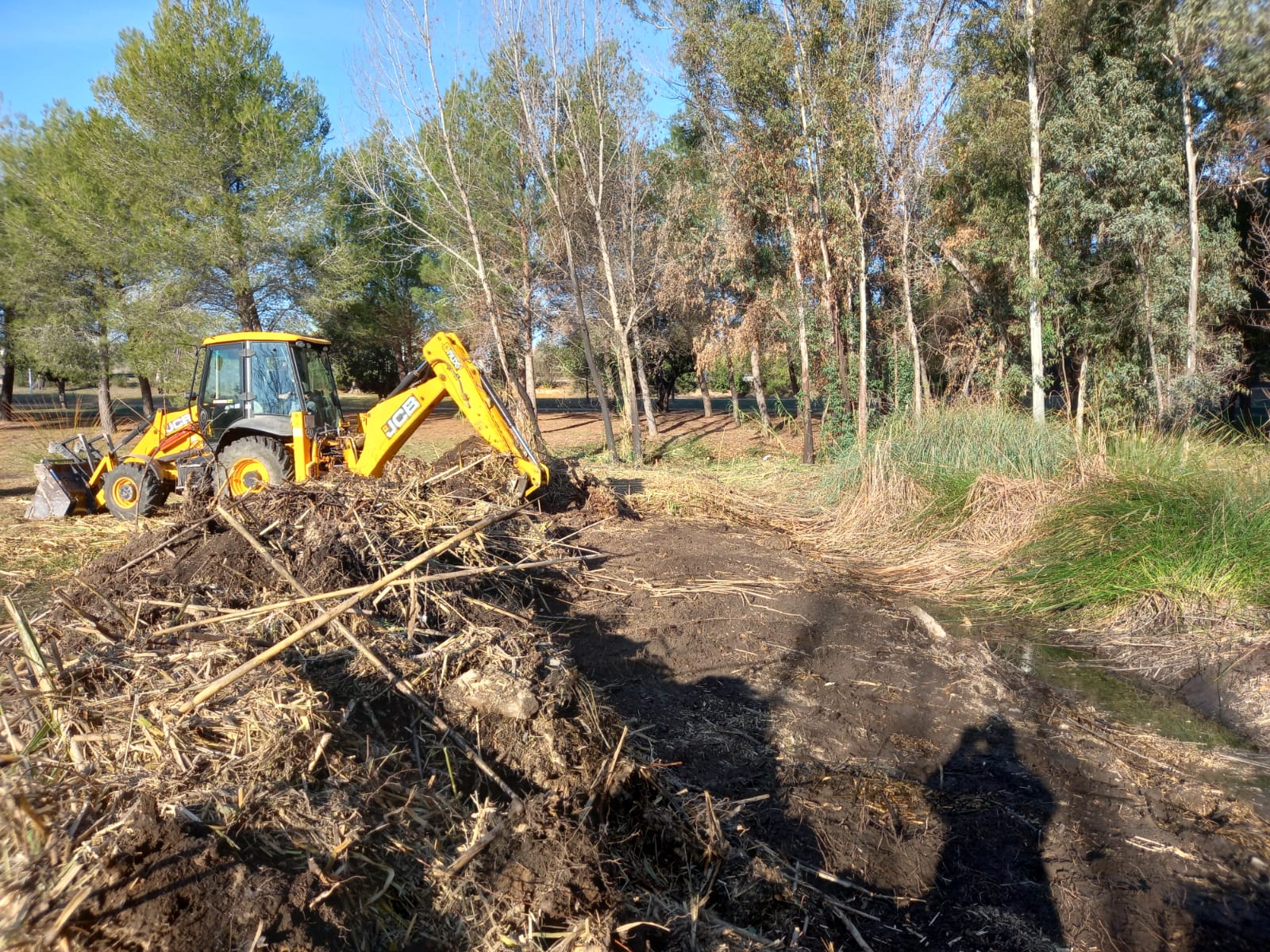 Treballs en la zona humida del Parc de Sant Vicent Treballs en la zona humida del Parc de Sant Vicent