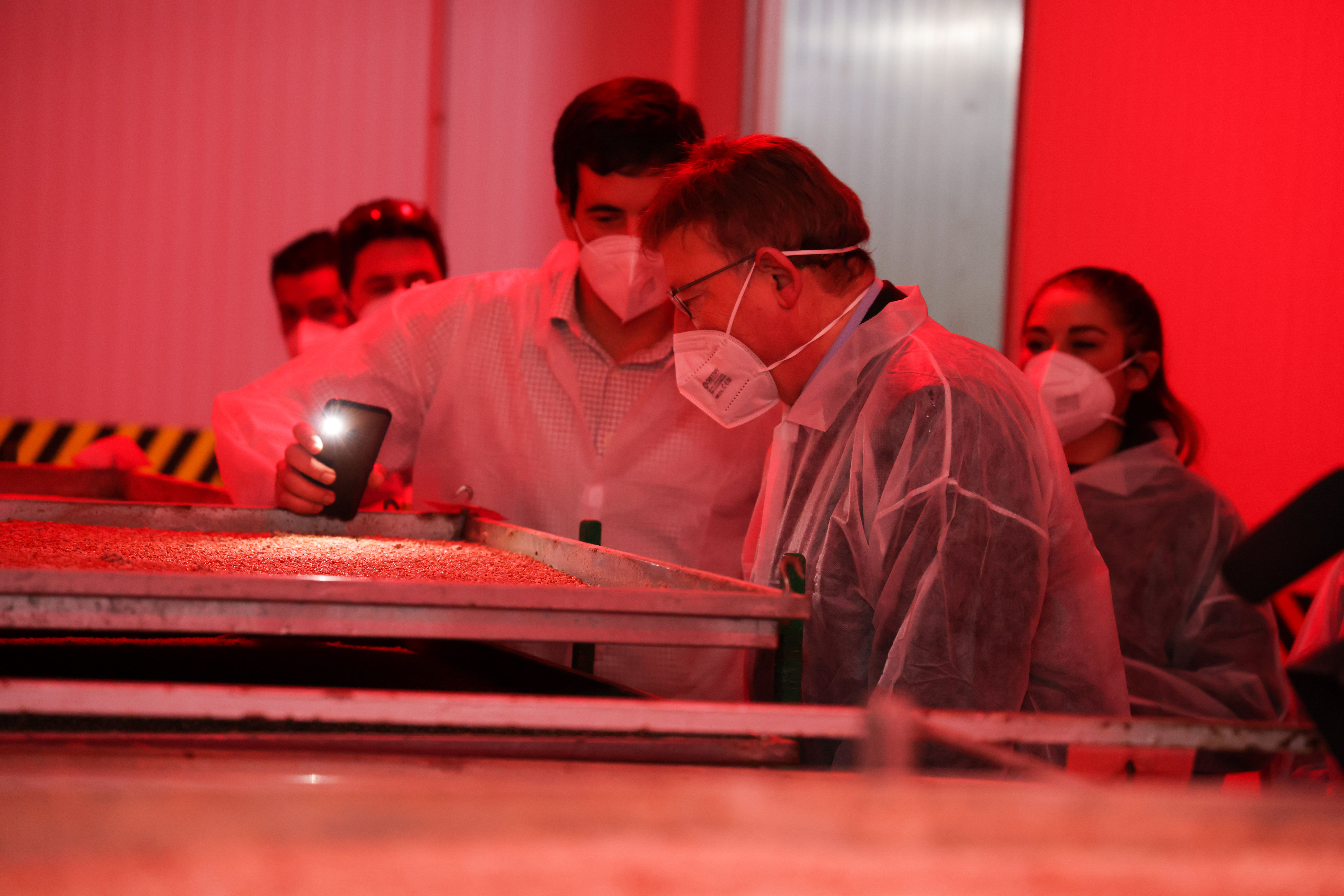 El president de la Generalitat, Ximo Puig, y la consellera de Agricultura, Mireia Mollà, han presentado el proyecto de reforma del Centro de Control de Plagas