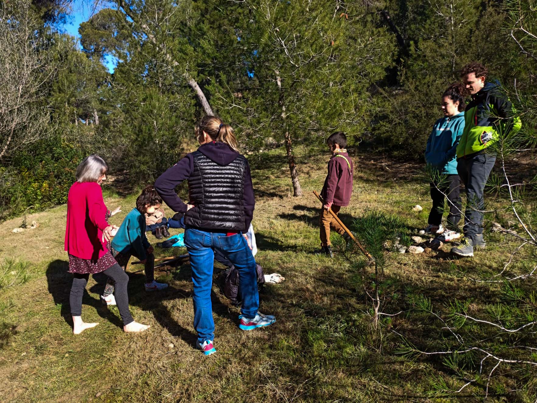 Dia de l'arbre de Torrent
