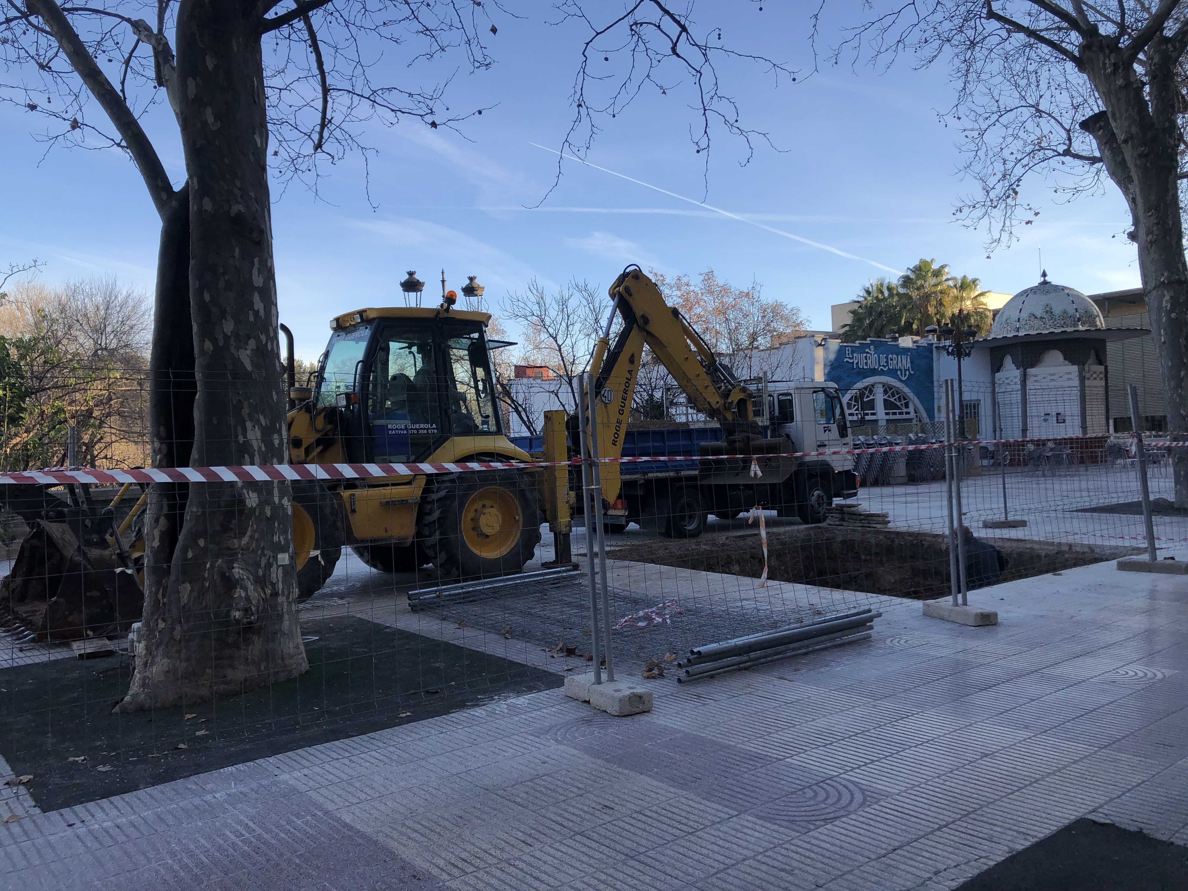 Nou exemplar de plataner en l'Avinguda de Selgas de Xàtiva