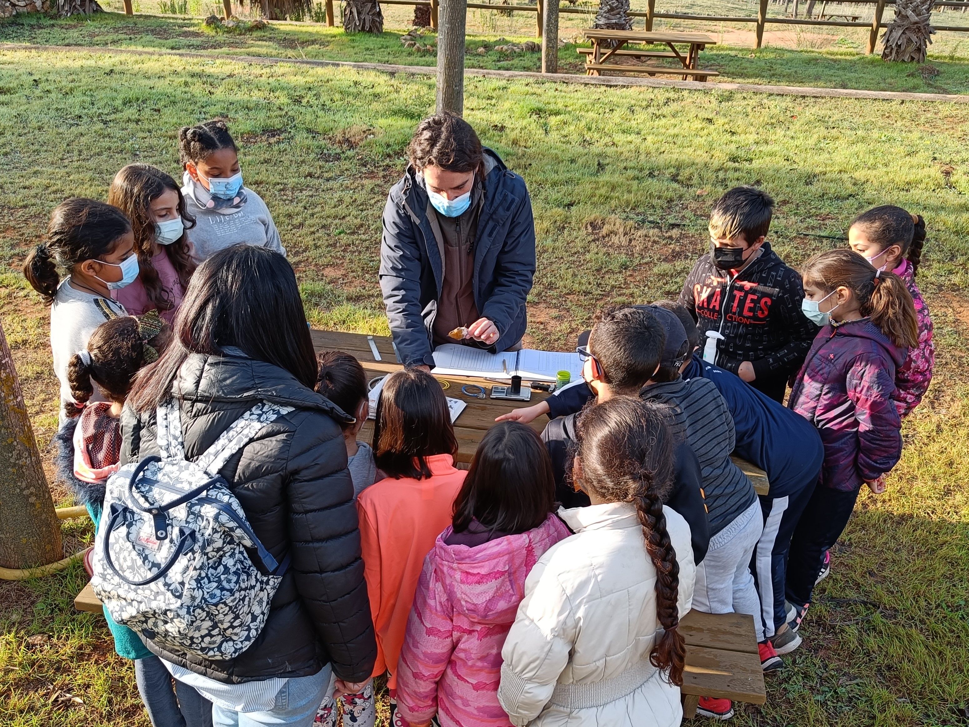 Activitats del Dia de l'Arbre a Carcaixent