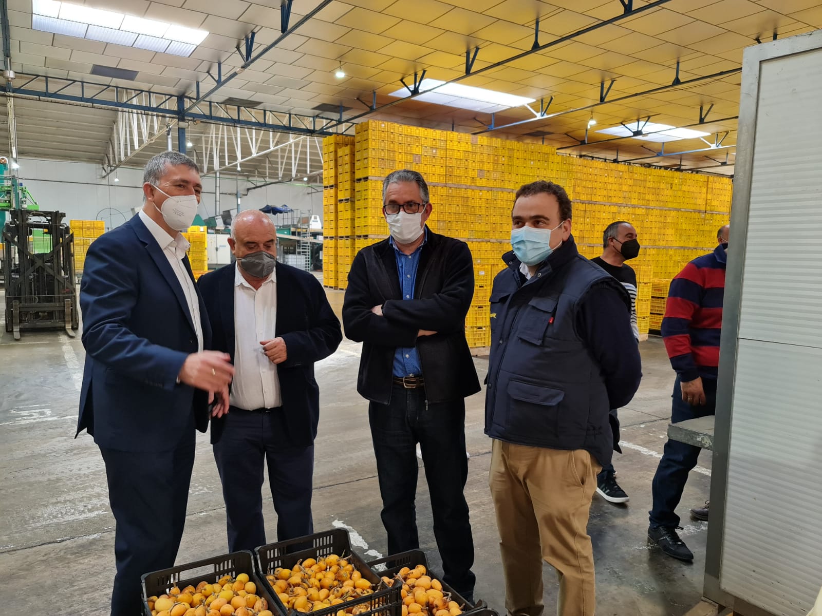 Visita del conseller Rafa Climent a la Cooperativa agrícola de Callosa d'en Sarrià