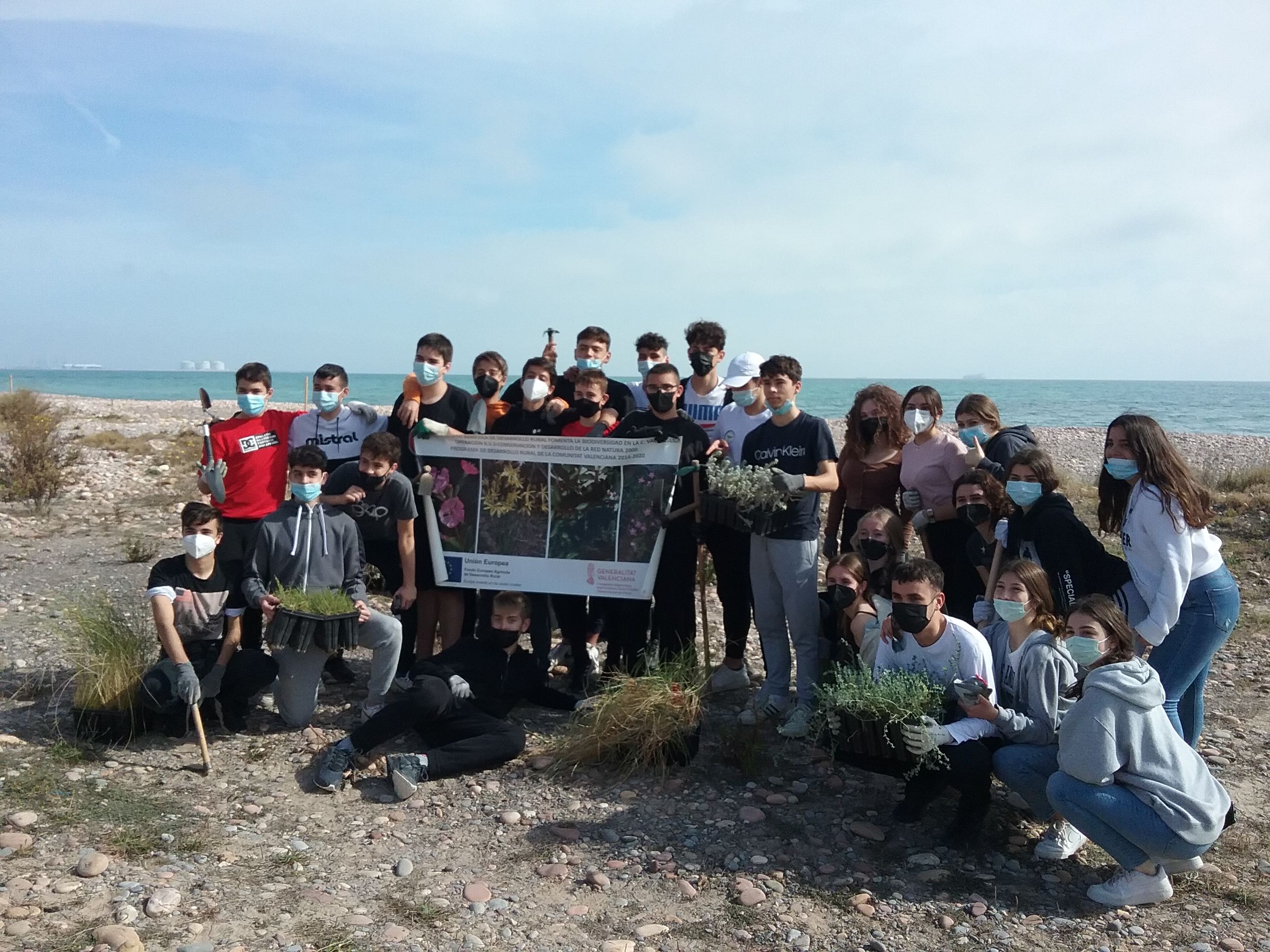 35 alumnes de l'IES del Puig de Santa María retiren més de 3 tones de flora invasora de la platja del Puig