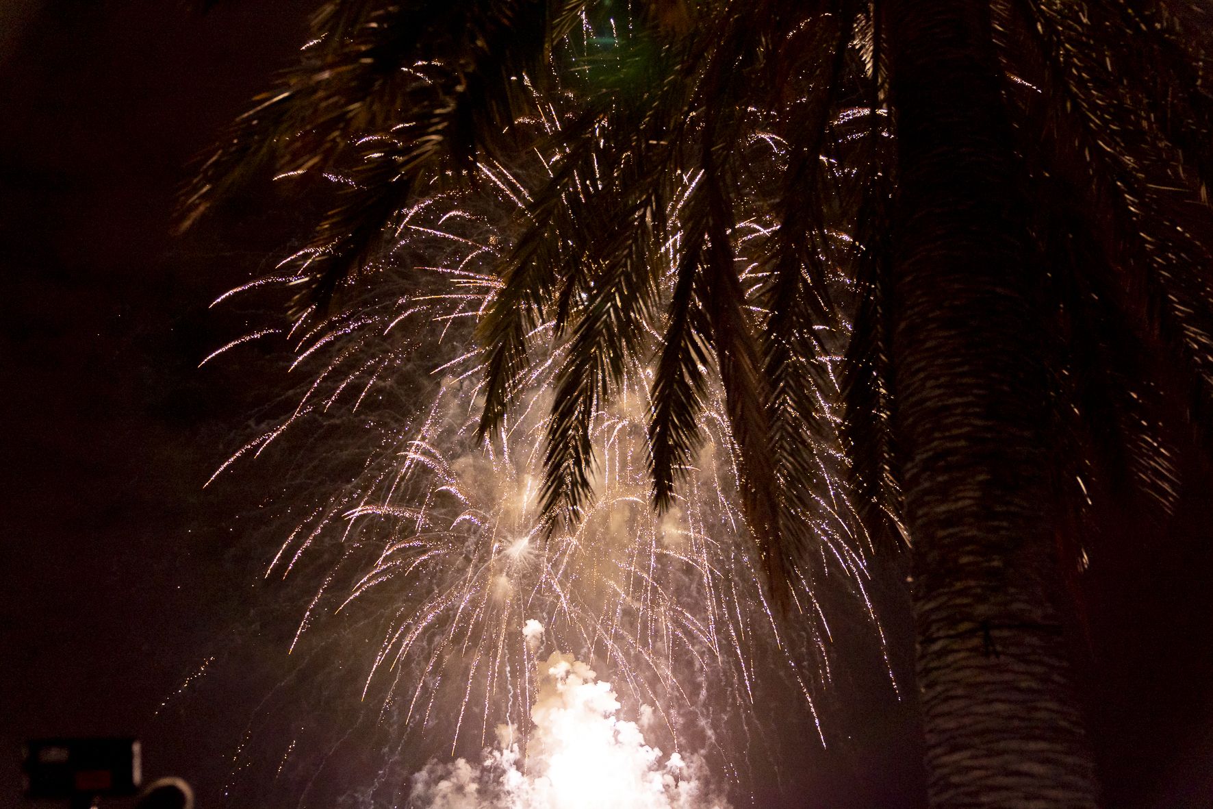 Crida València 2022 - Foto: Xisco Navarro