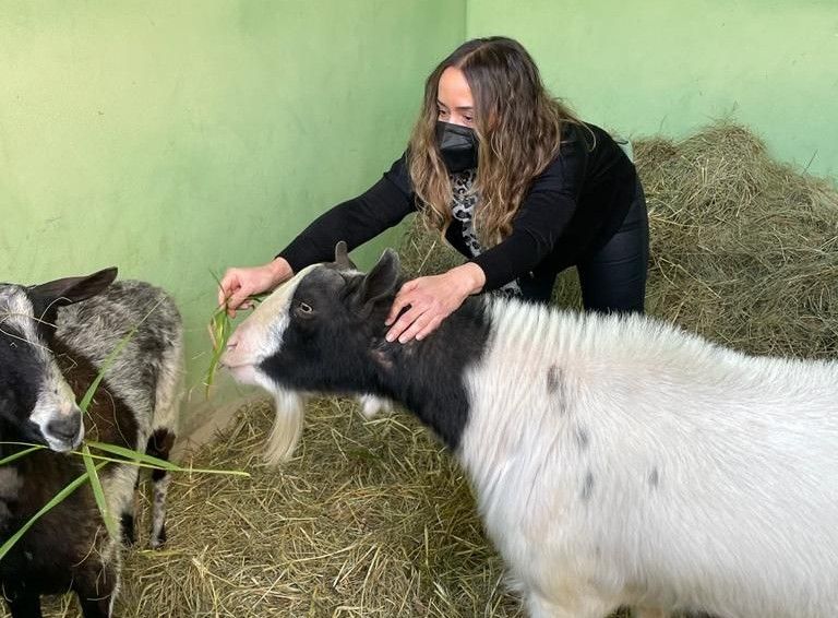 La concejala de BIenestar Animal, Gloria Tello, junto a las cabras rescatadas