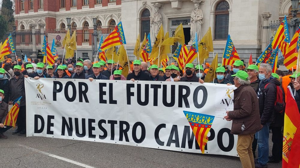 El PP de Valencia participa en la manifestación del campo en Madrid: &quot;Se tiene que actuar ya&quot;