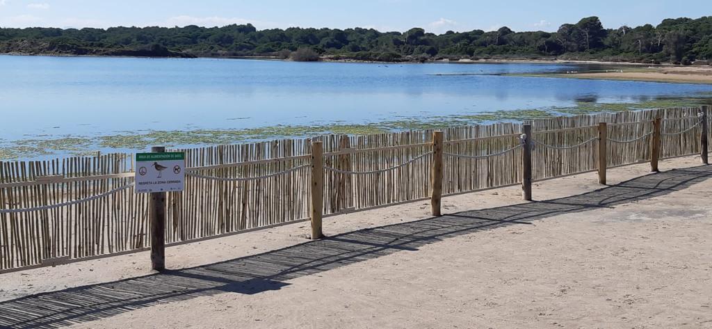 Cordó dunar de l'Estany de Pujol 