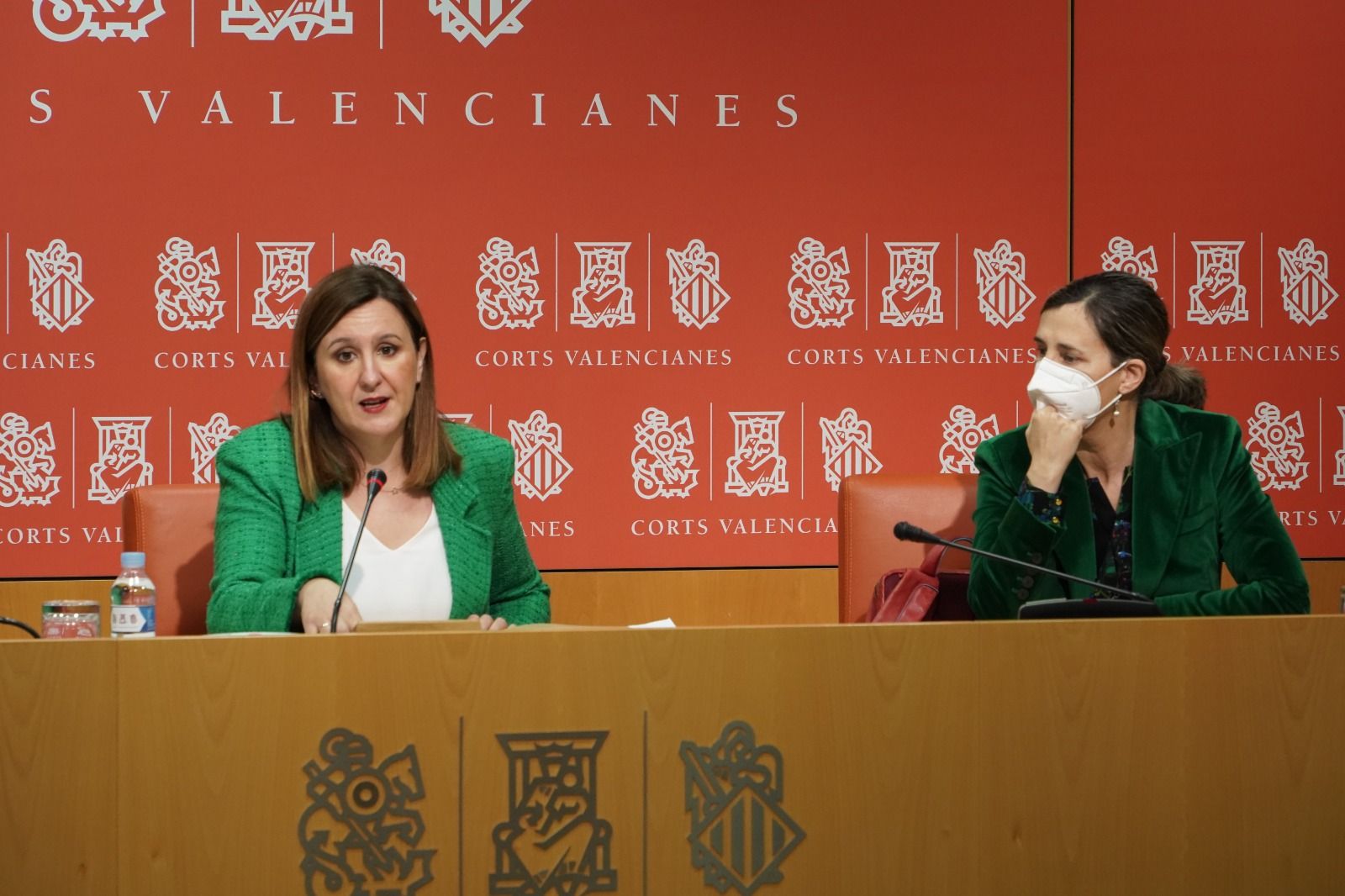 La Síndica del Grupo Popular en Les Corts, Mª José Catalá