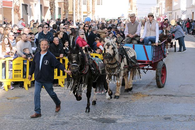 Benedicció d'Animals de Sant Antoni a Puçol