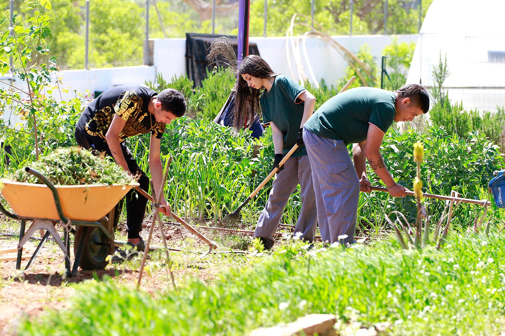 Un grupo de alumnos del taller de jardinería de Puzol