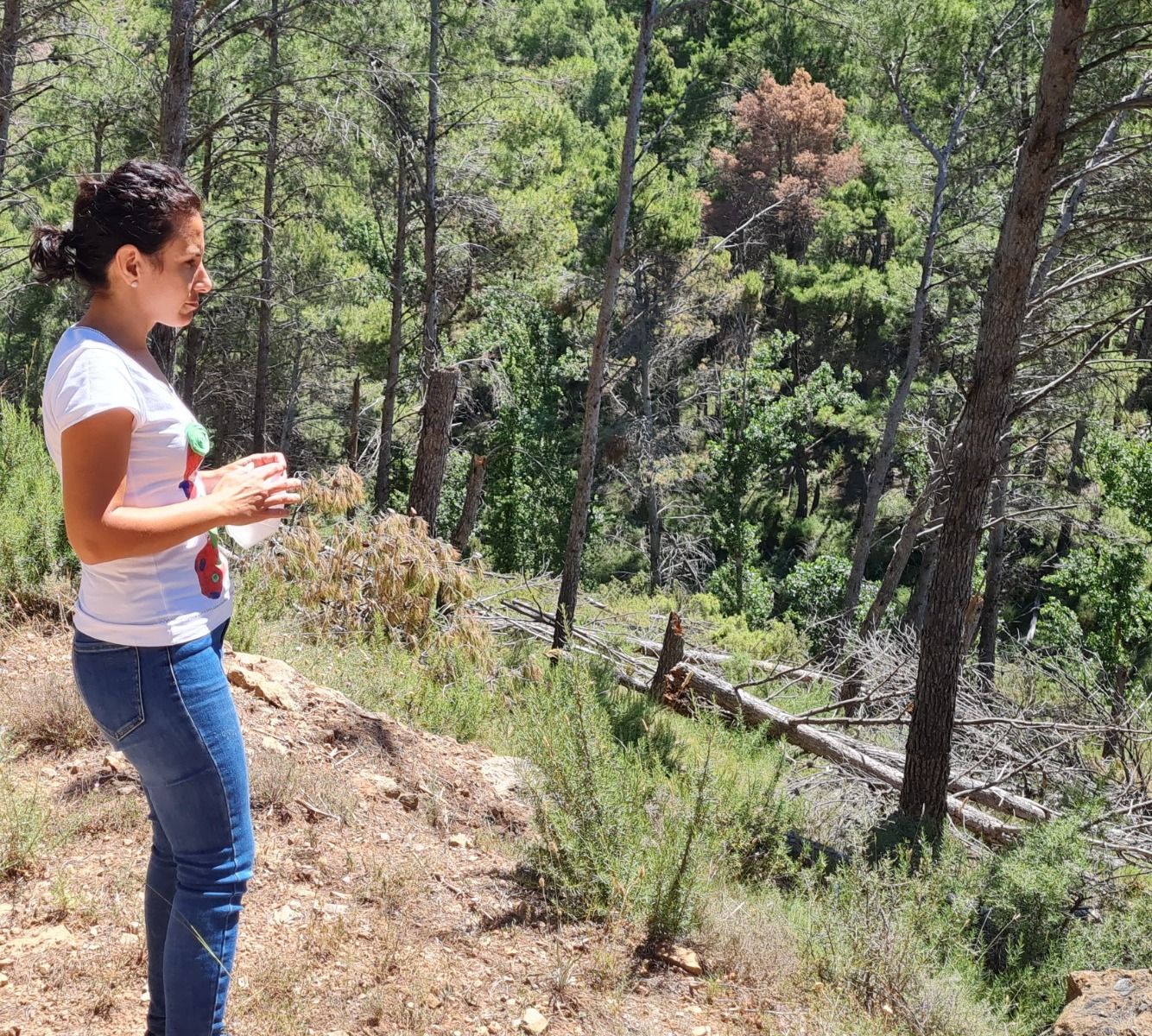 La sotssecretària d'Ecologia i Desenvolupament del Partit Popular de la Comunitat Valenciana, Elena Albalat