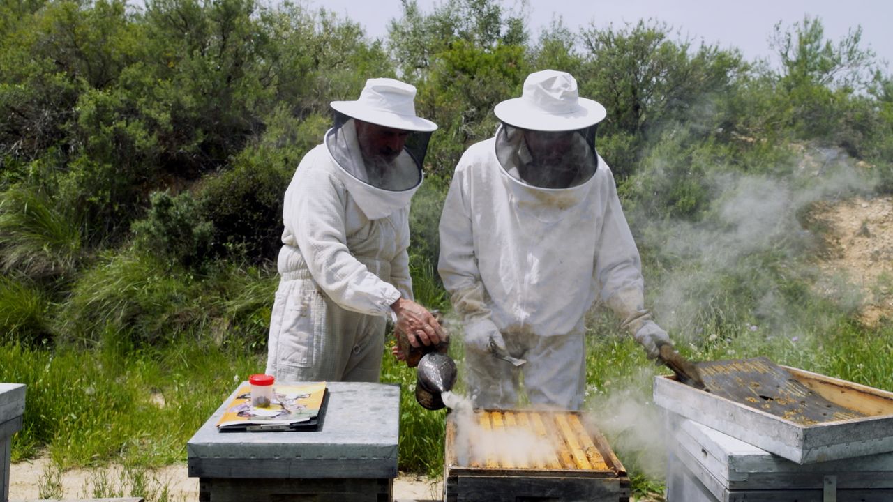 Dos apicultores