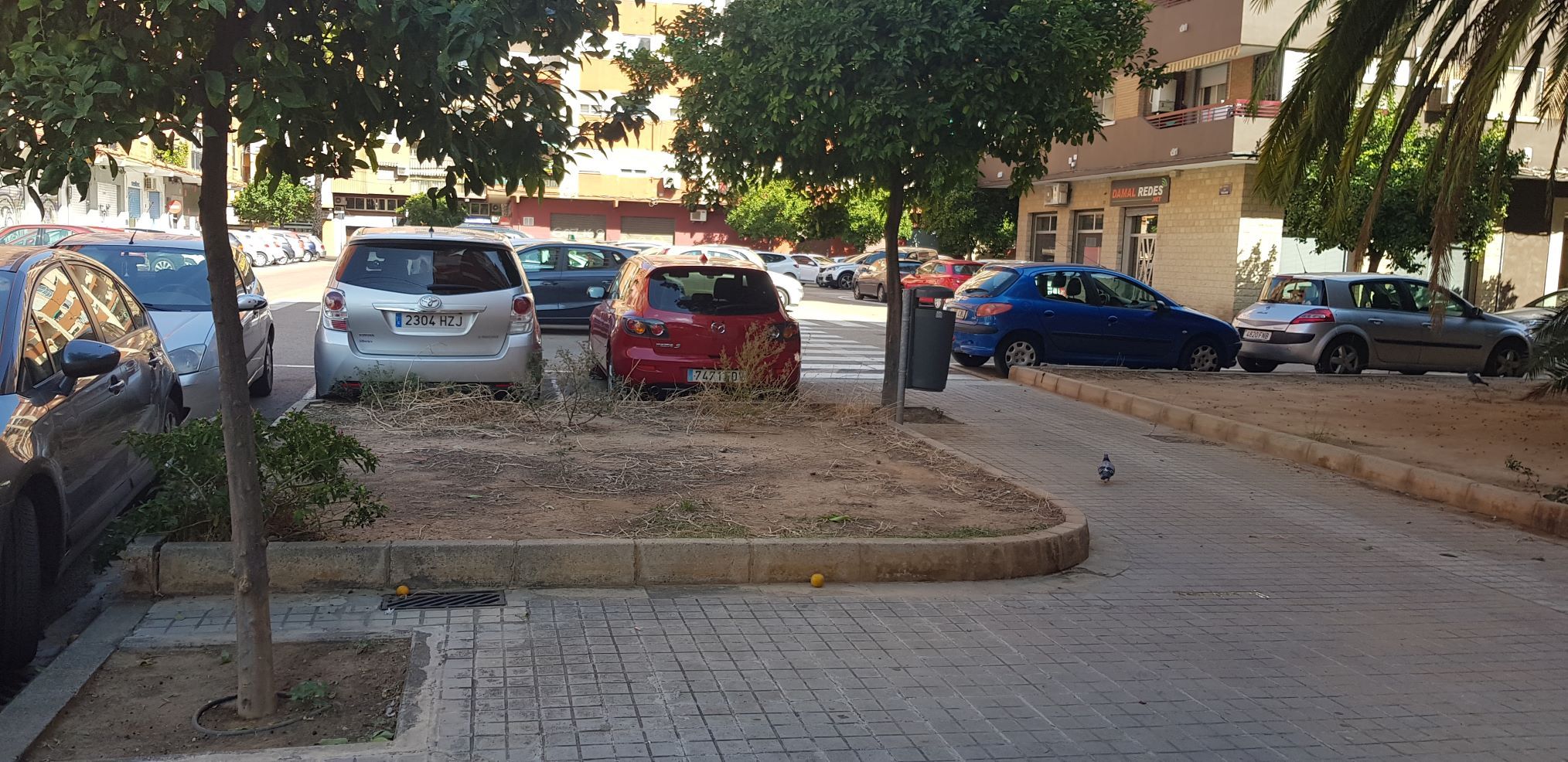 Foto actual de la zona enjardinada en Ciutat Jardí