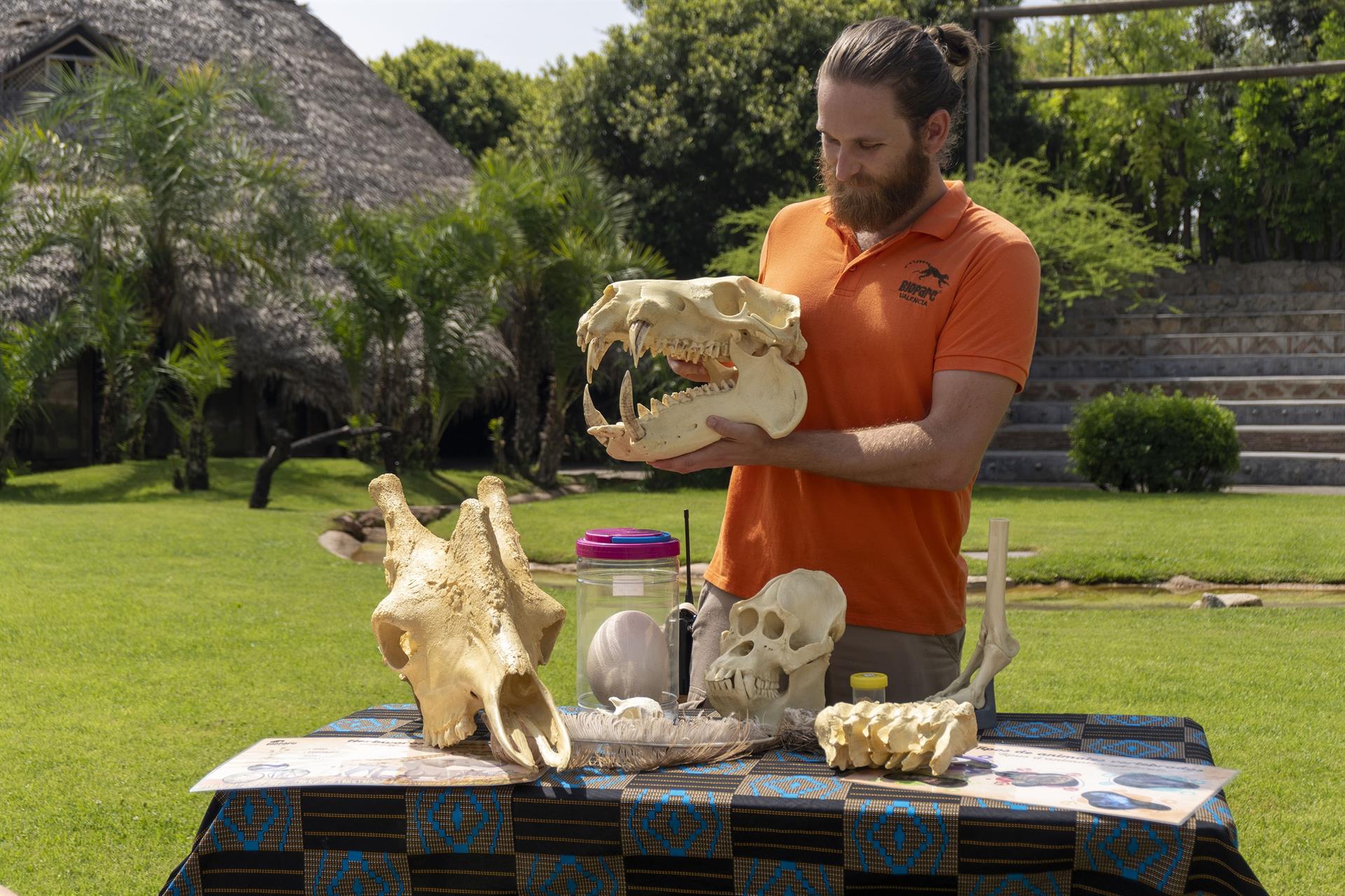 Museu itinerant de Bioparc