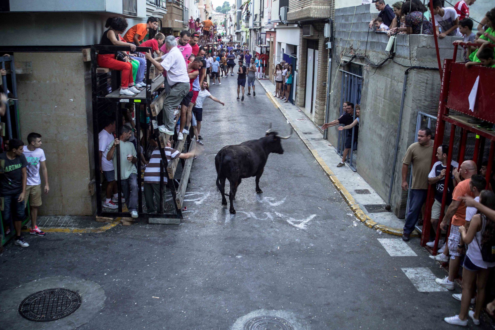 Persones en festejos taurins