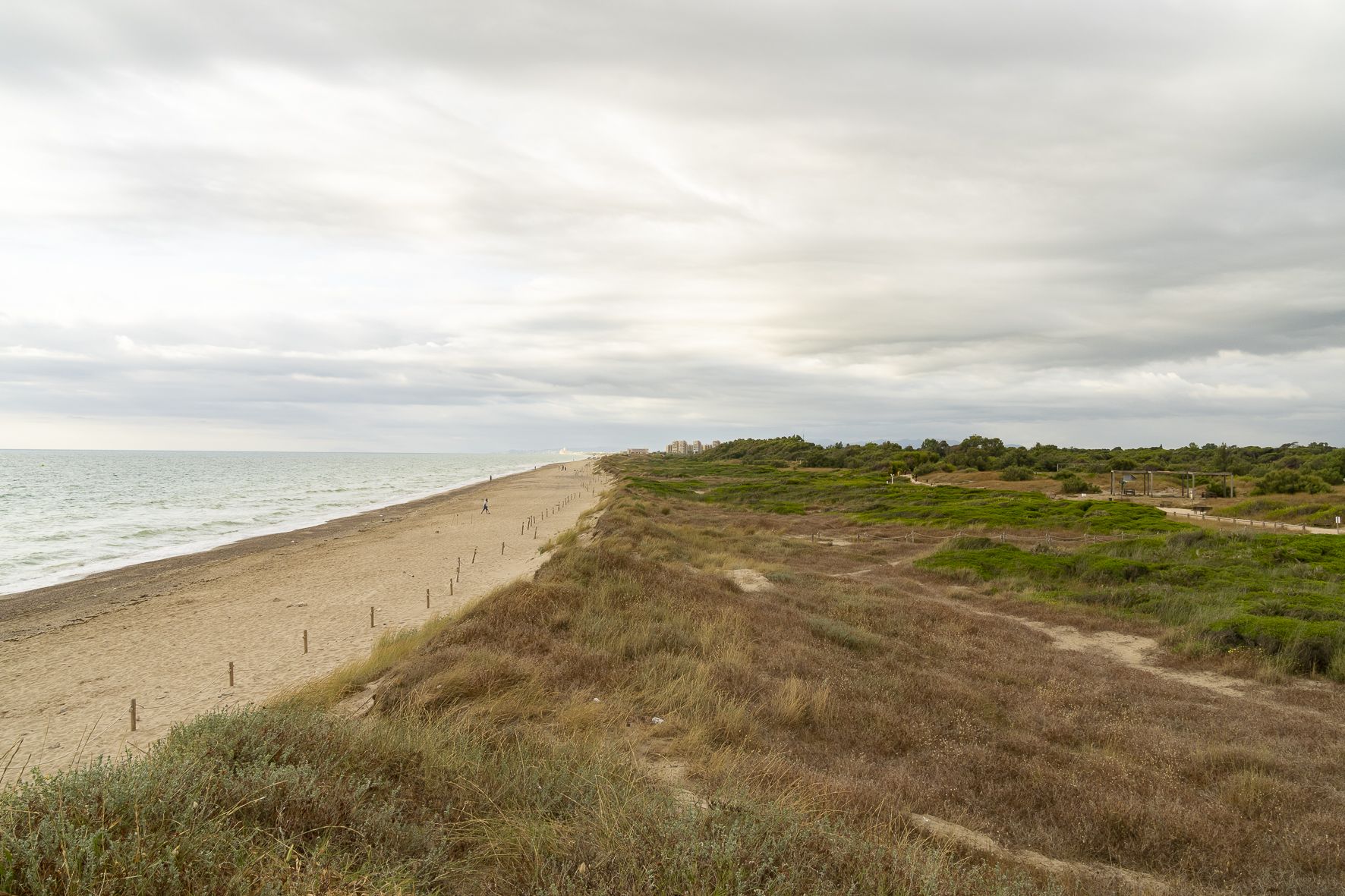 Playa El Saler / Foto: Xisco Navarro