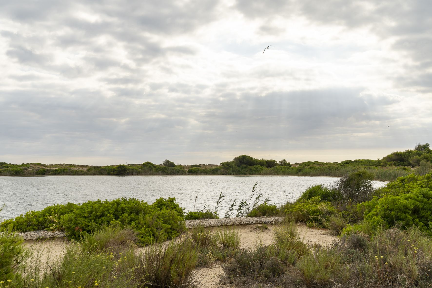 Playa La Devesa / Foto: Xisco Navarro 