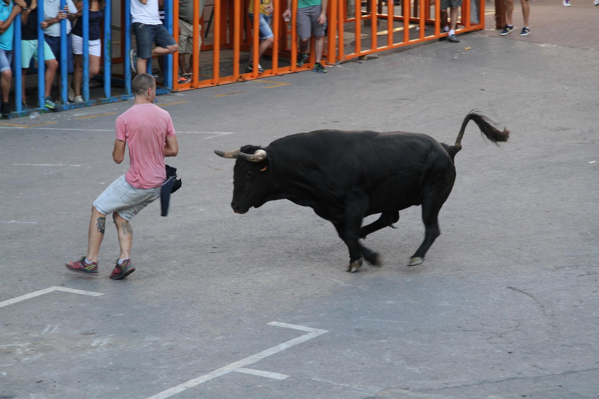 Un joven ante un toro en una imagen de archivo