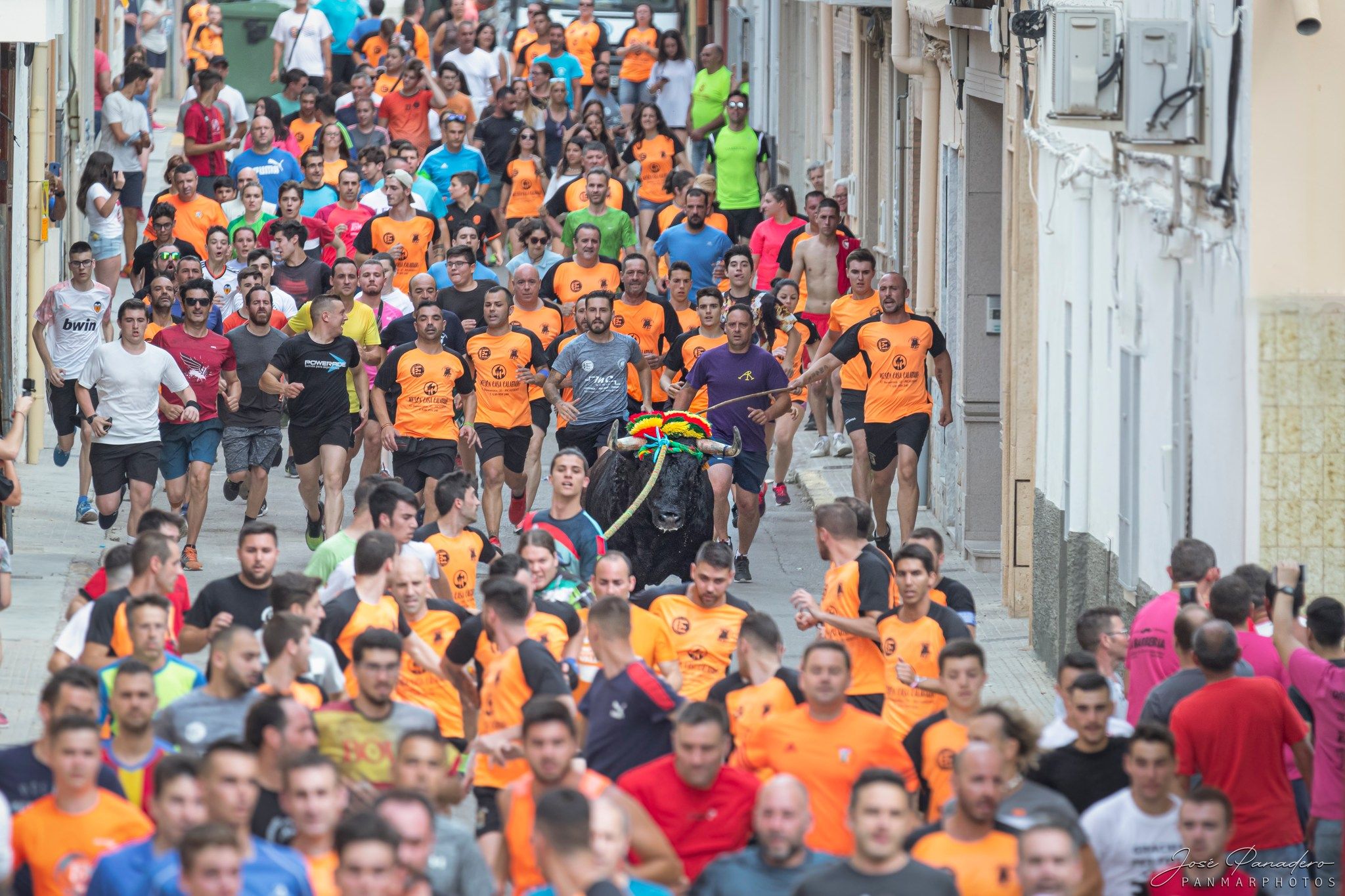 Los "bous al carrer" de Picassent. Imagen de José Panadero Martínez