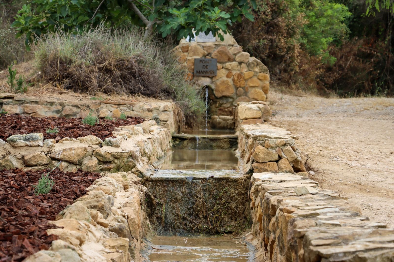 Feunte de Manyes