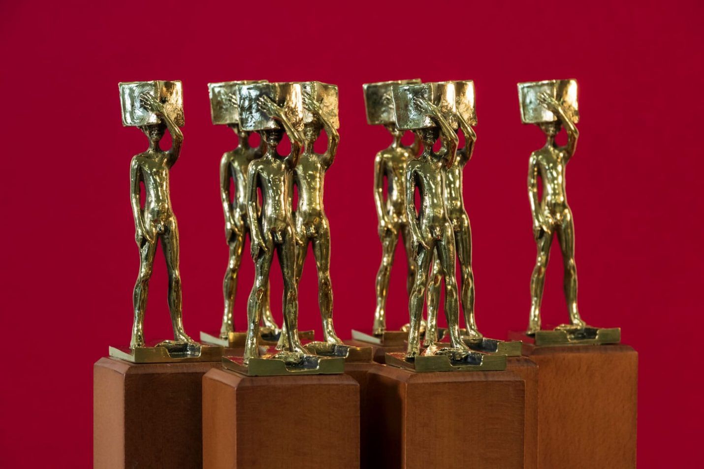 Premis Literaris Ciutat d'Alzira